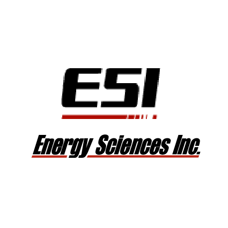 Logo ESI